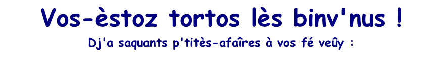 Vos-èstoz tortos lès binv'nus ! Dj'a saquants p'titès-afaîres à vos fé veûy :
